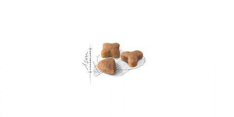 Royal Canin Sensible