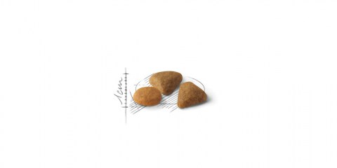 Royal Canin Savour Exigent 