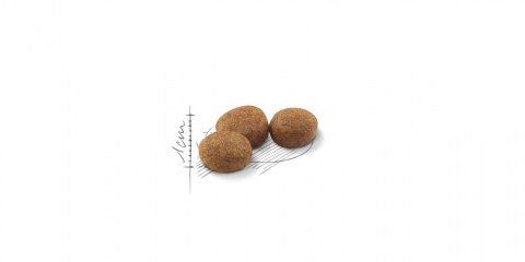Royal Canin Regular Sterilised