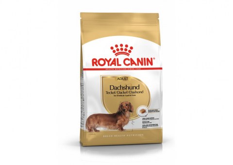 ad-dachshund-packshot-bhn18