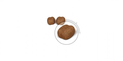 Royal Canin Oral Sensitive
