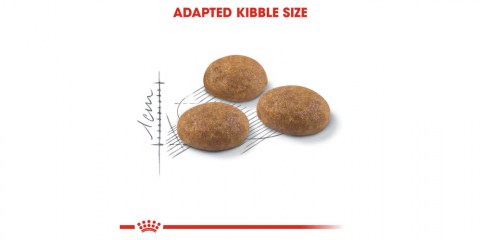 Royal Canin Outdoor Active Life za aktivne mačke