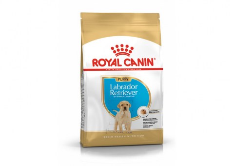pu-labrador-packshot-bhn18