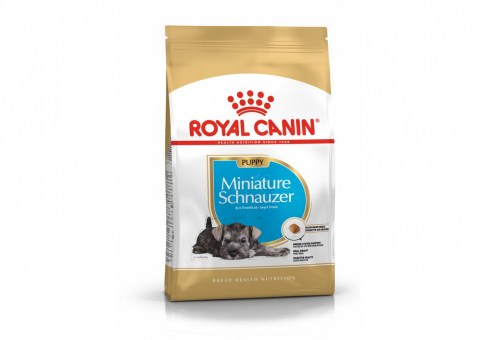 Royal Canin Miniature Schnautzer Puppy